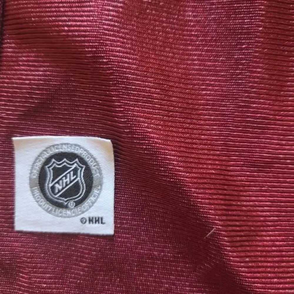 Littlearth NHL Colorado Avalanche Stretch Pet Jersey, Medium